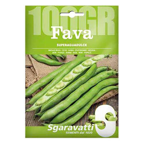 SEMI PER FAVE fava superaguadulce -...