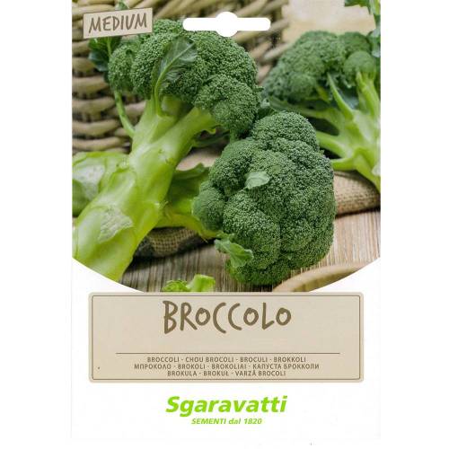 SEMI PER FAVE broccoletto quarantino...