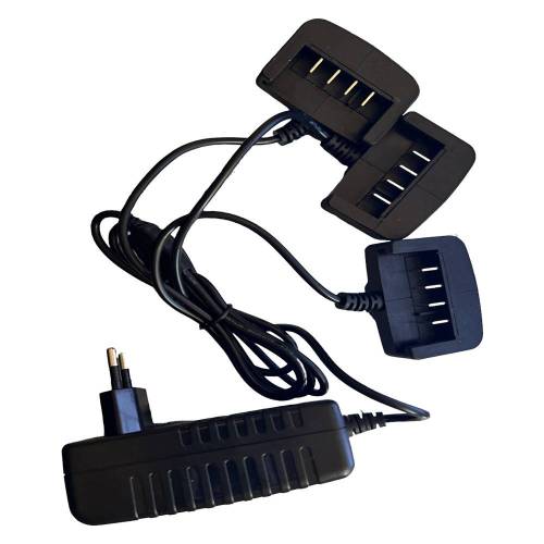 CARICA BATTERIA A 3 VIE 2.5...