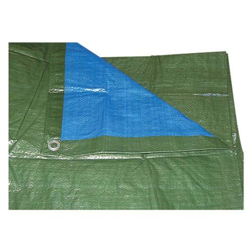 TELONE OCCHIELLATO mt 10 x 12 - 110...