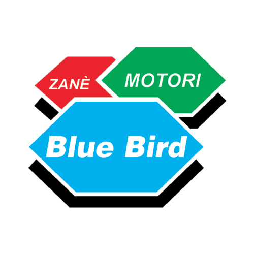 BLUE BIRD