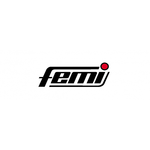 FEMI