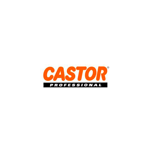 CASTOR